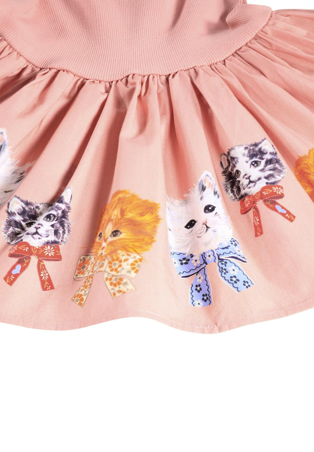 Candi - Fancy Kittens