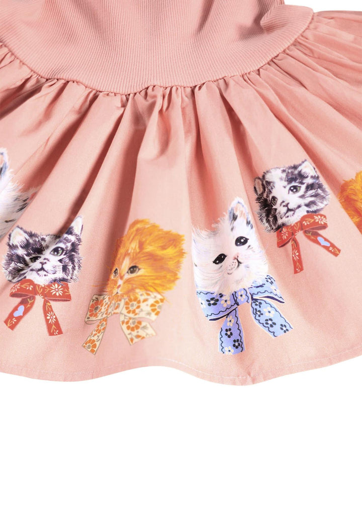 Candi - Fancy Kittens
