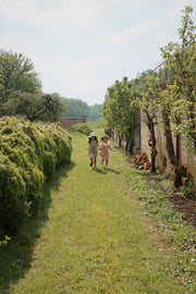 Elin Bow Dress Fiola