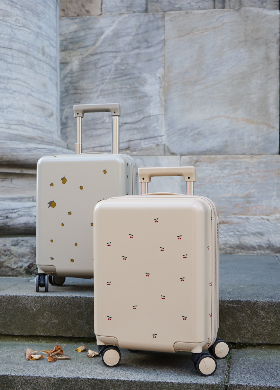 Travel Suitcase
