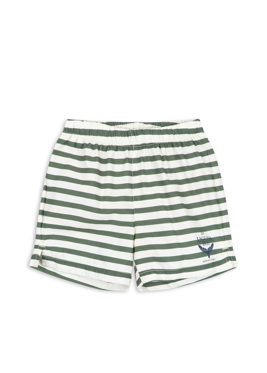 Asnou Swim Shorts - Stripe Verti