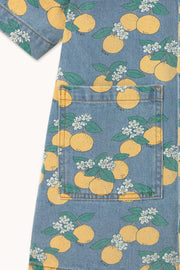 Oranges Denim Dress