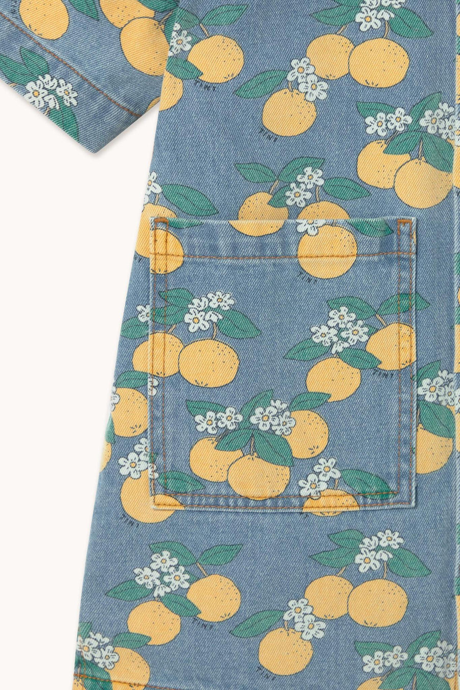 Oranges Denim Dress