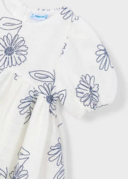 Puff Sleeve Embroidered Dress