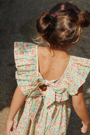 Cianna Dress Fandango