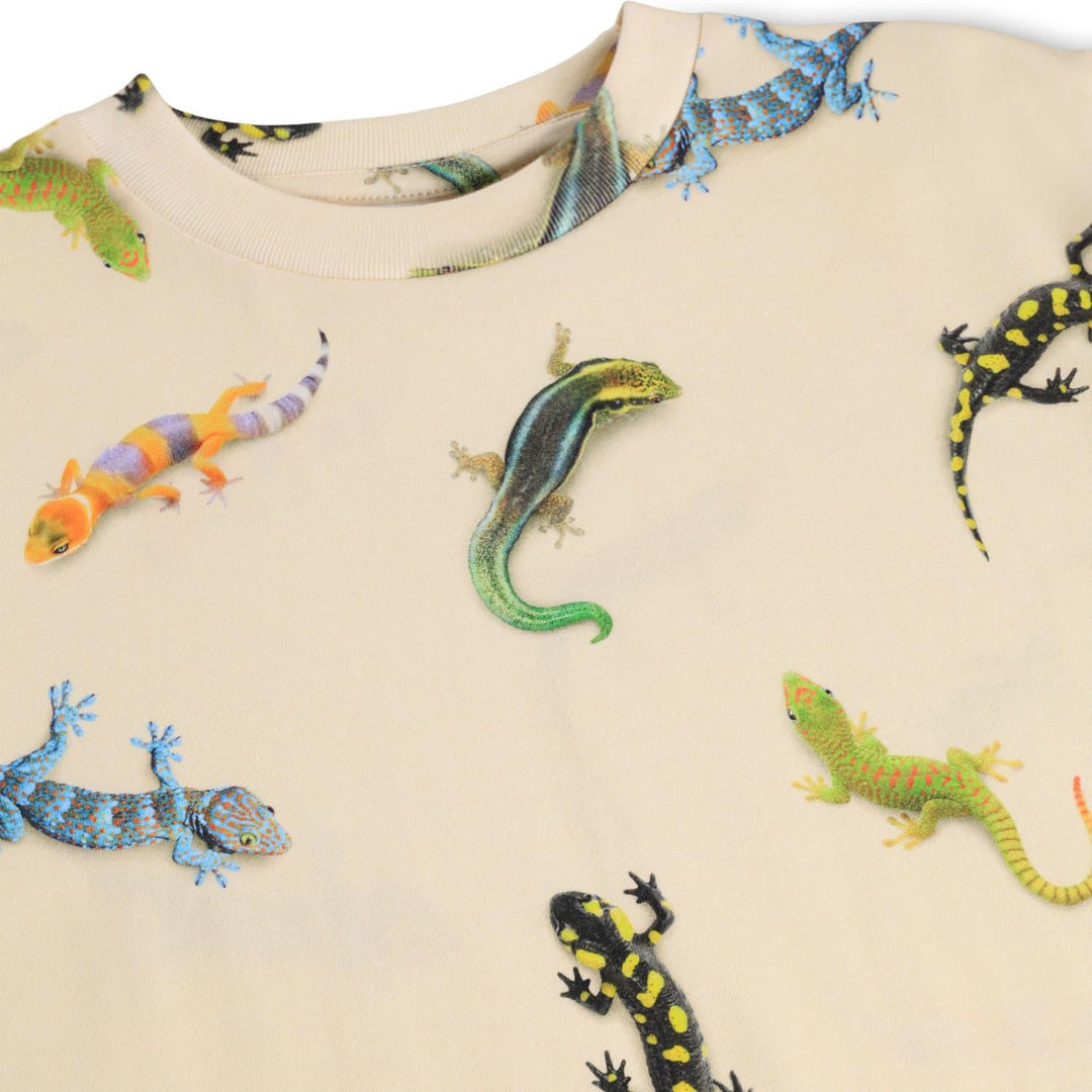 Riley - Geckos Light