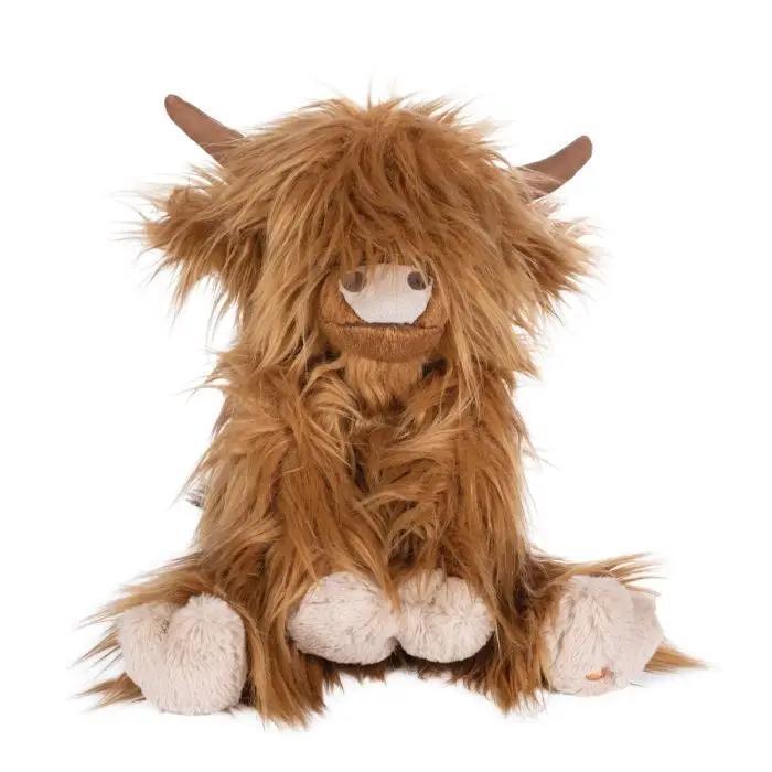 Gordon the Highland Cow