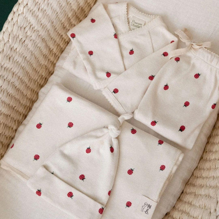 Welcome Home Set - Raspberry