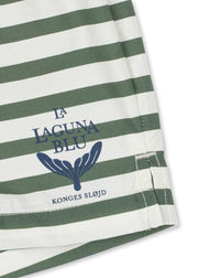 Asnou Swim Shorts - Stripe Verti