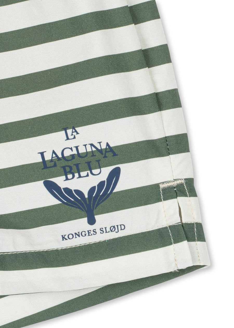 Asnou Swim Shorts - Stripe Verti