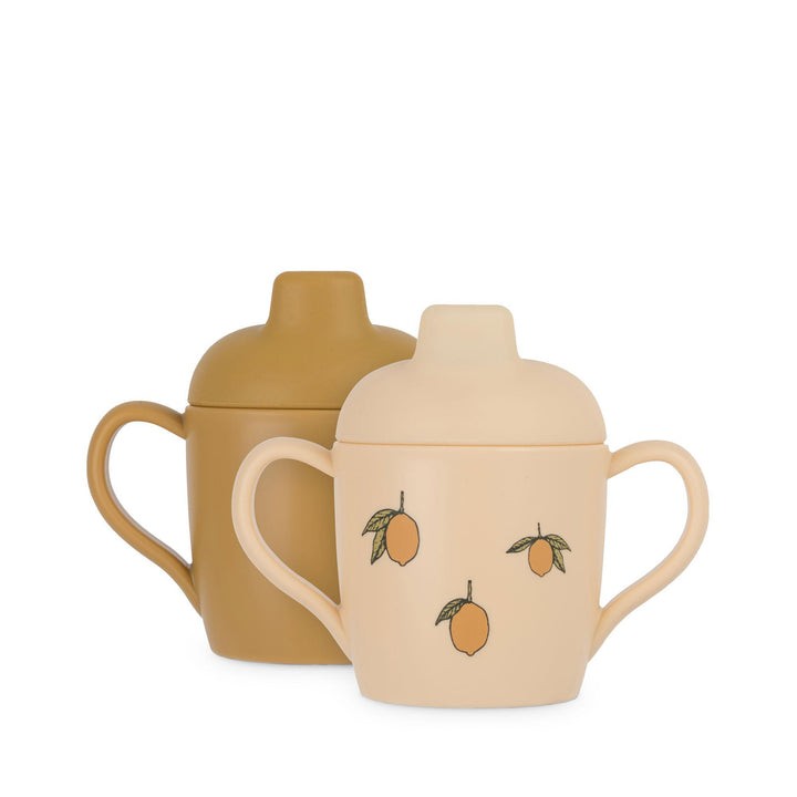 2 Pack Sippy Cup