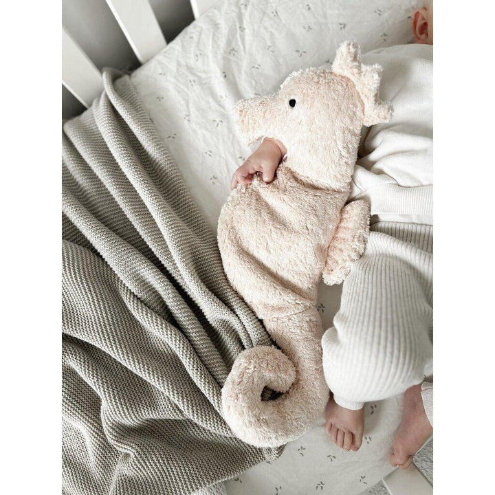 White Seahorse - Small