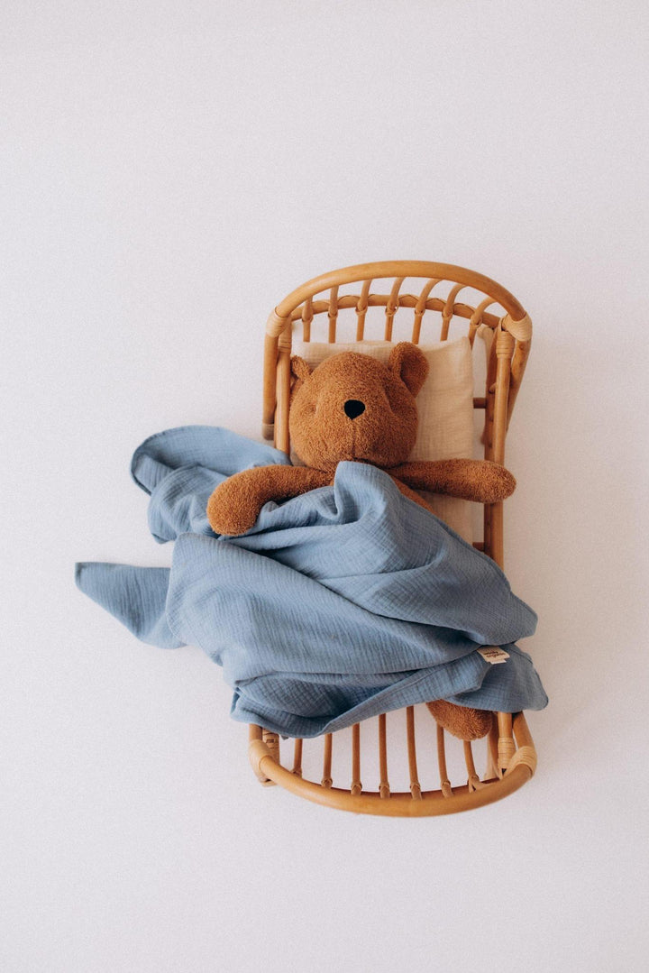 Organic Teddy Bear