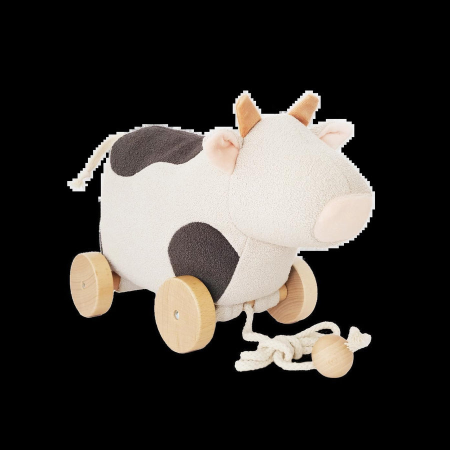 Willow Pull Along Toy