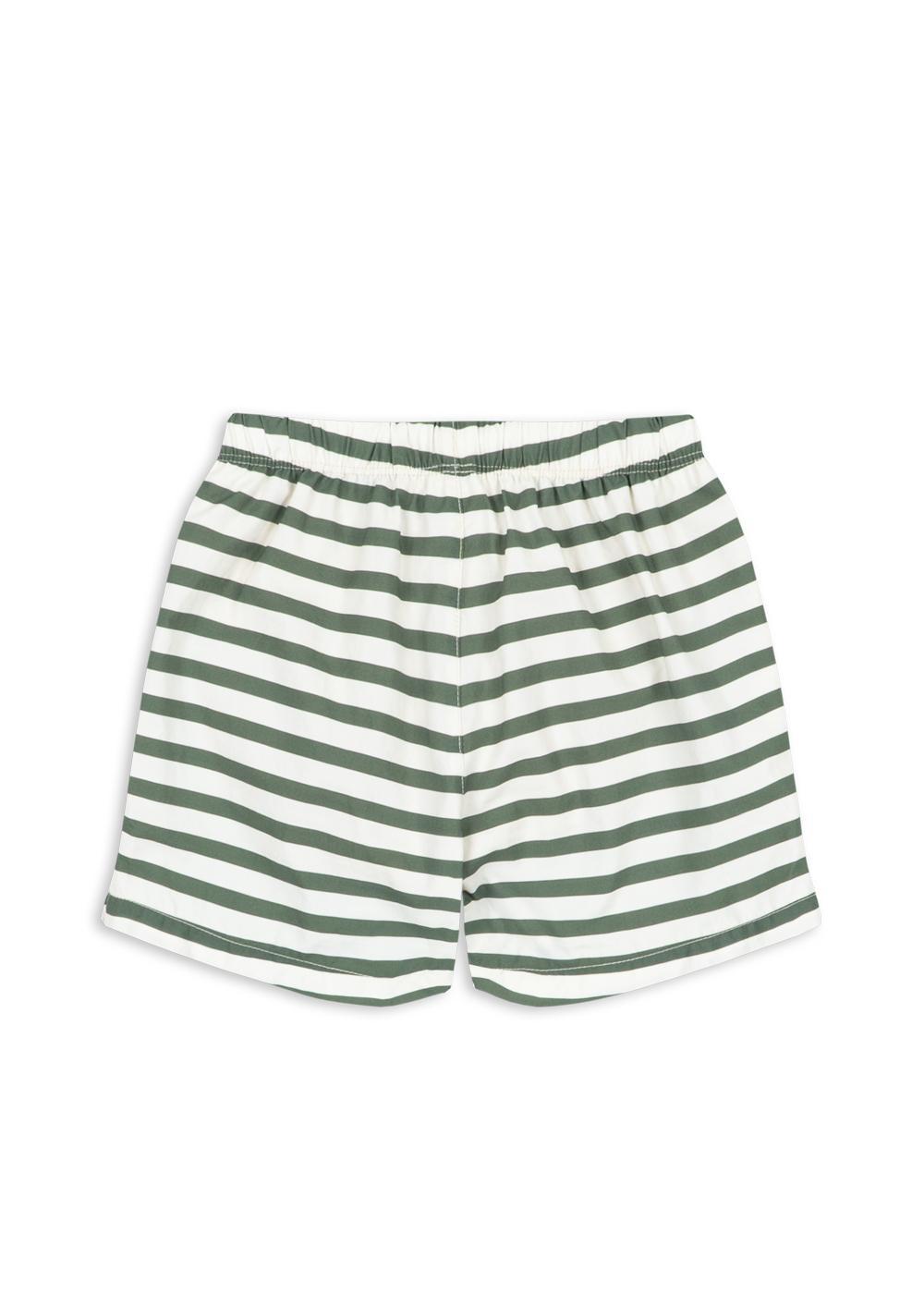 Asnou Swim Shorts - Stripe Verti