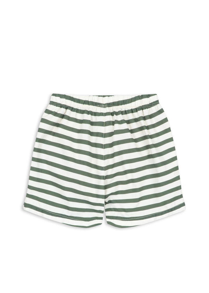 Asnou Swim Shorts - Stripe Verti
