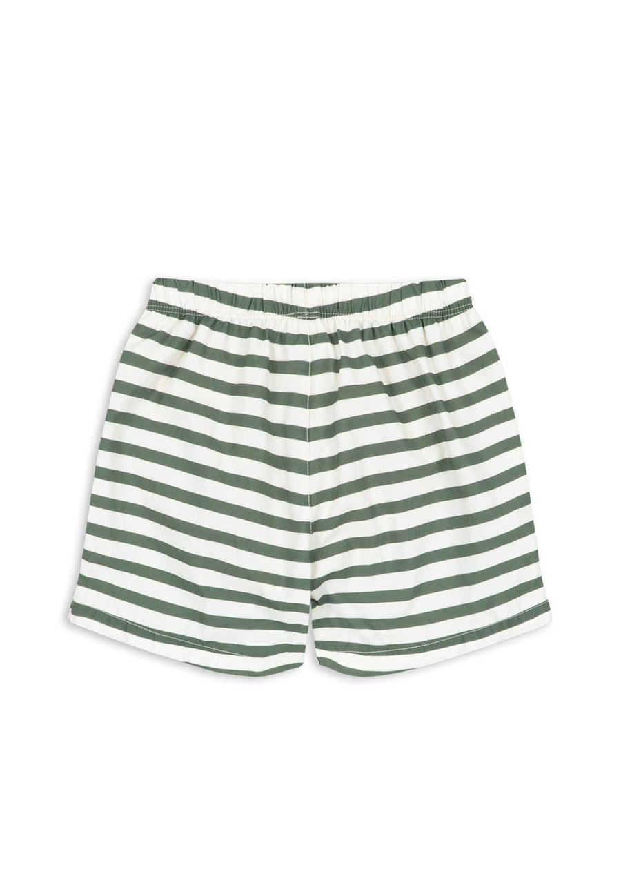 Asnou Swim Shorts - Stripe Verti