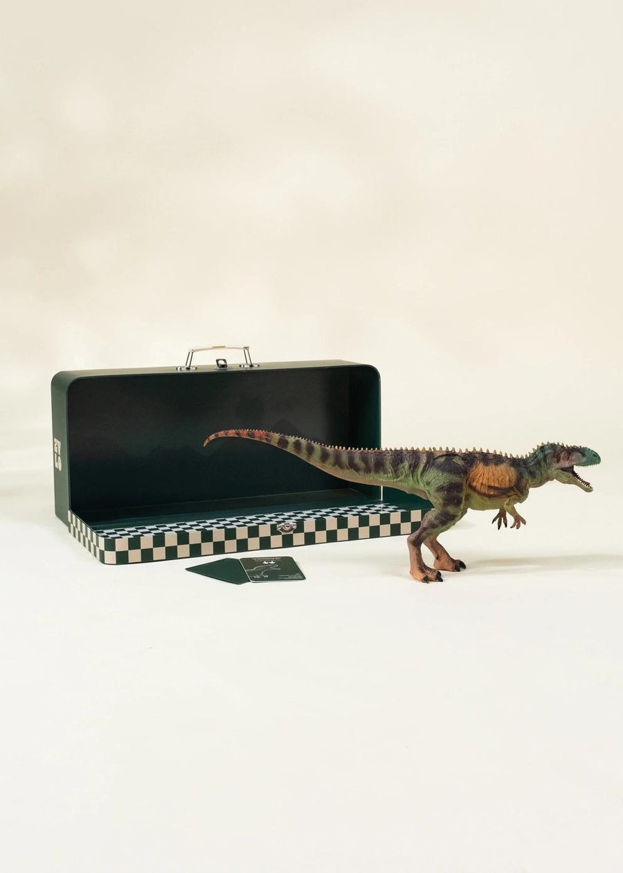 Tyrannosaurus Rex Dinosaur
