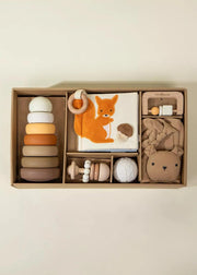 Baby First Toys Gift Box