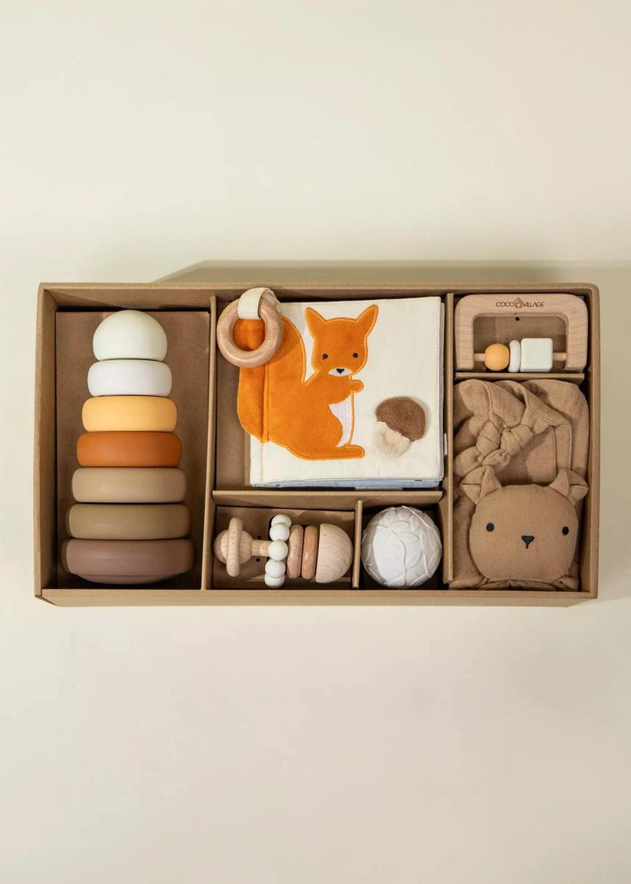Baby First Toys Gift Box