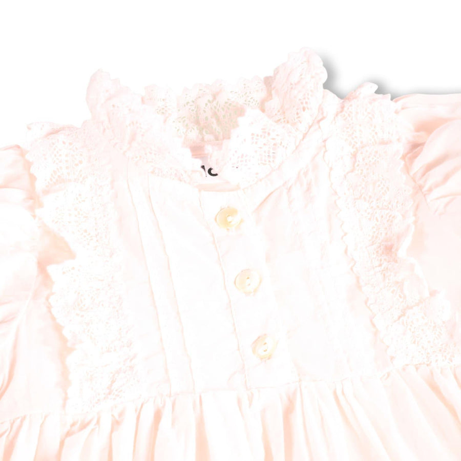 Carnation - Cloud Pink