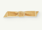 Coati Hair Clip - Gold