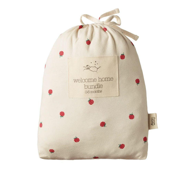 Welcome Home Set - Raspberry
