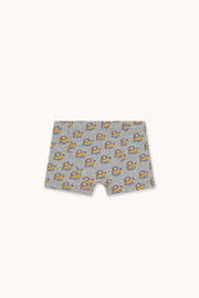 Dogs Boxers