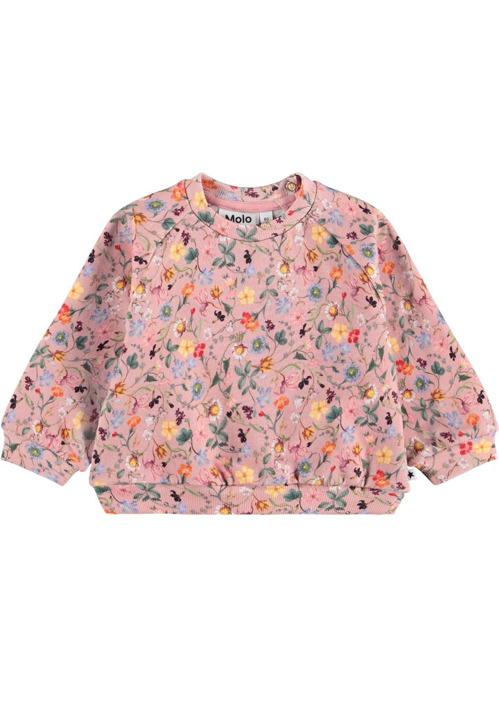 Disc Sweatshirt - Delicate