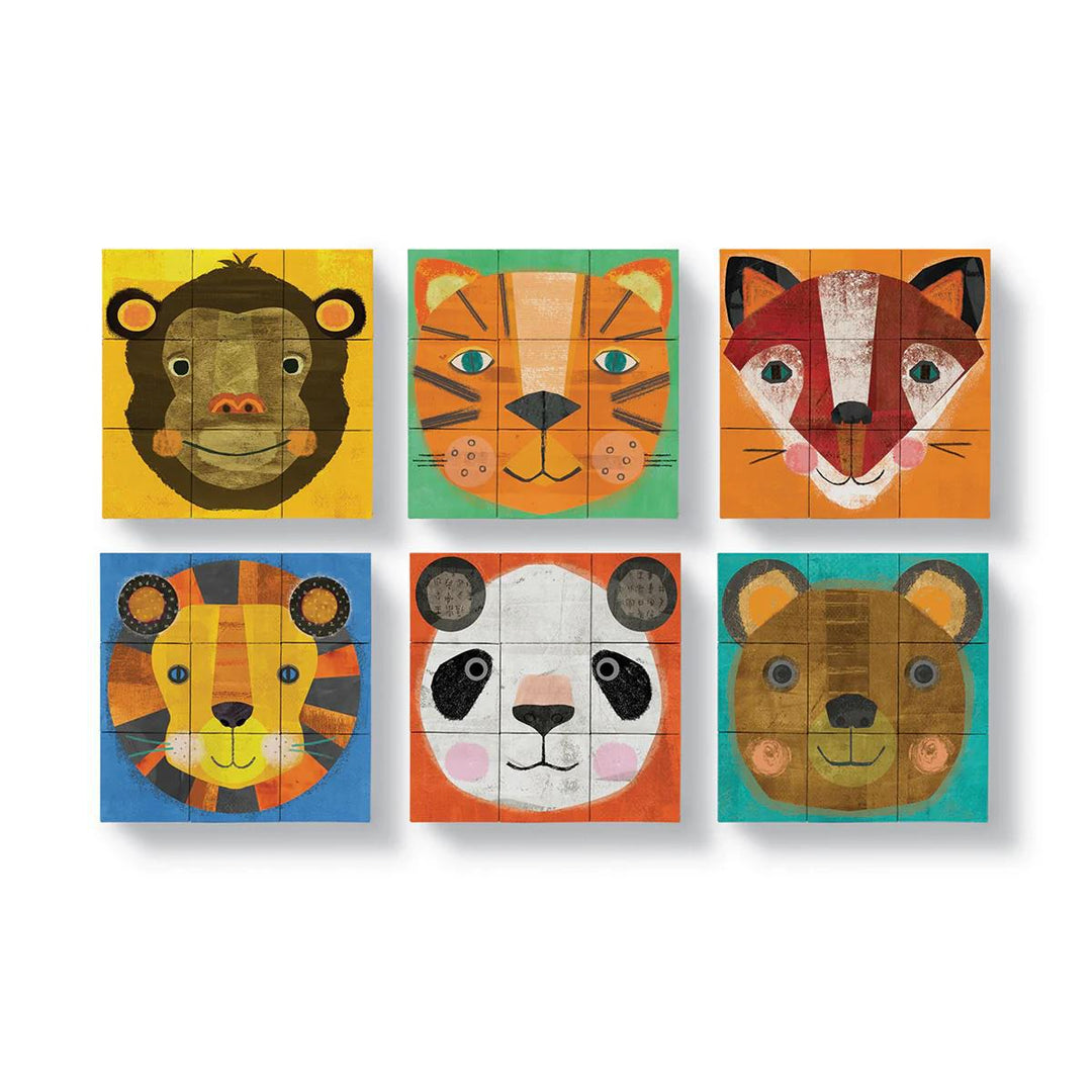 Puzzle Blocks/Make-A-Face
