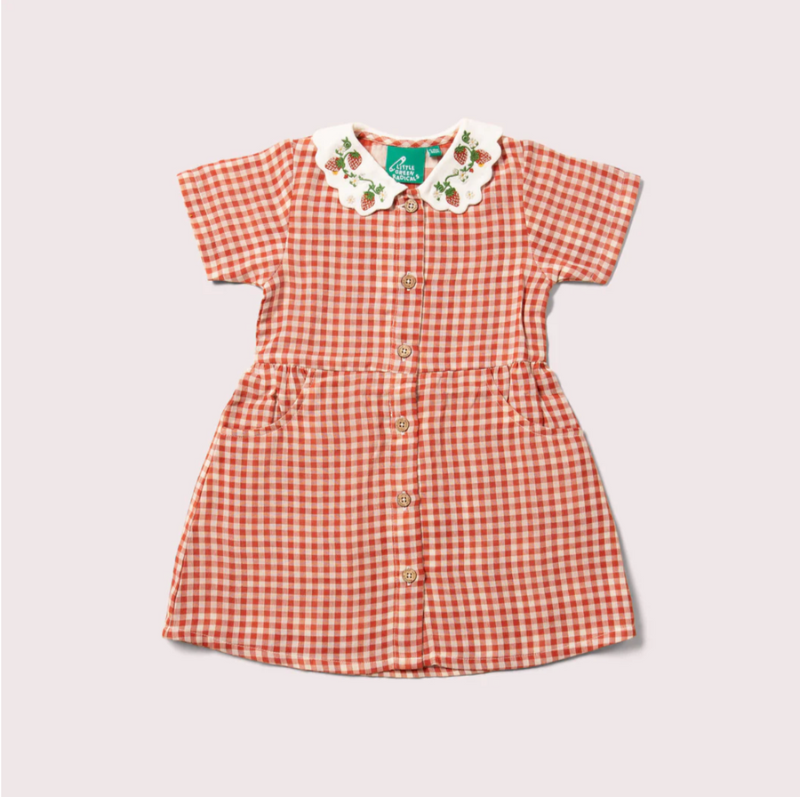 Little Red Check Button Dress
