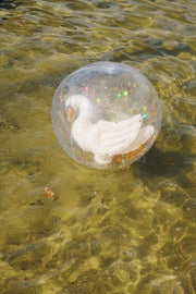 Swan Beach Ball