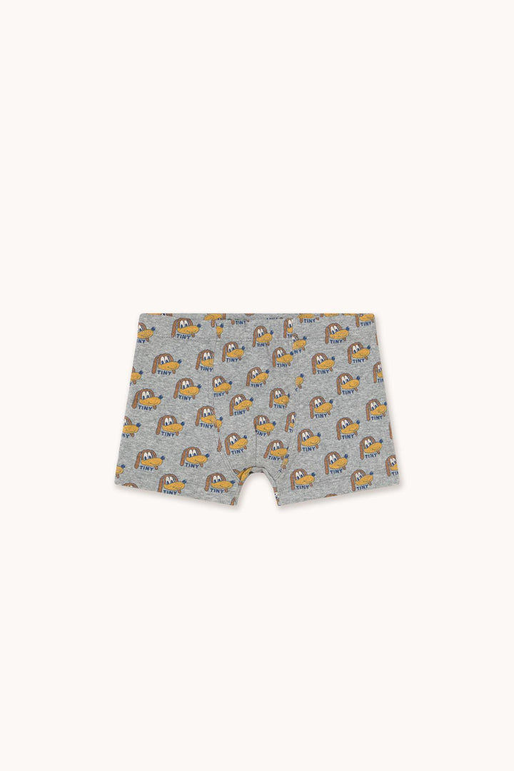 Dogs Boxers