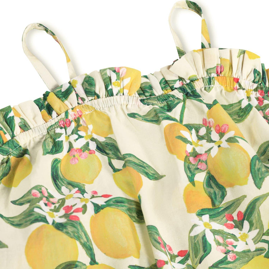 Connie Dress - Citrus