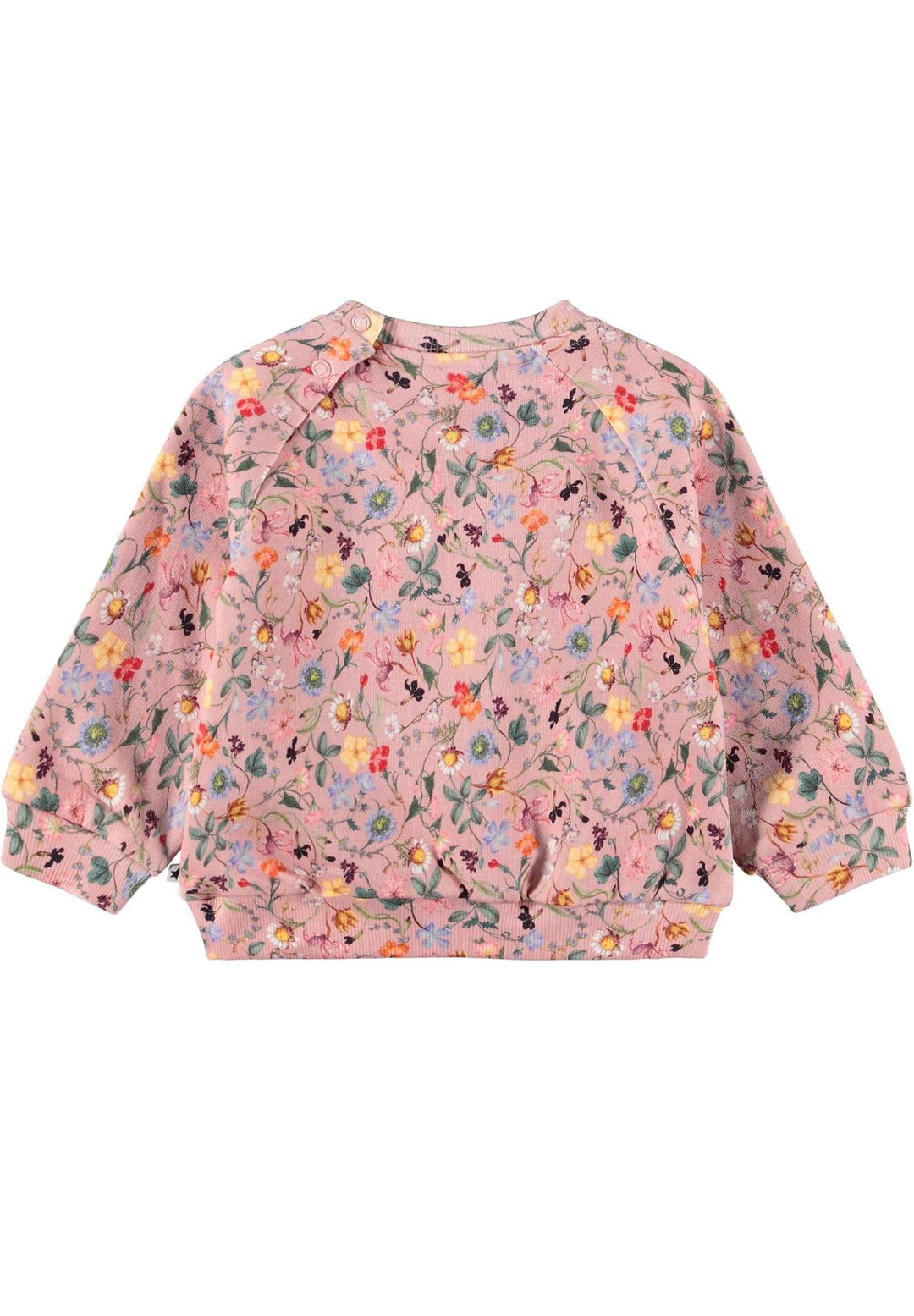 Disc Sweatshirt - Delicate