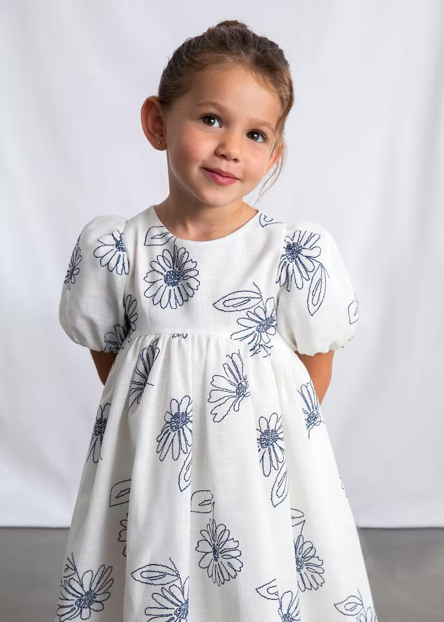Puff Sleeve Embroidered Dress