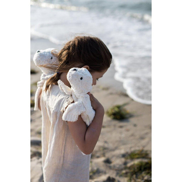 Cuddly White Seal - Small