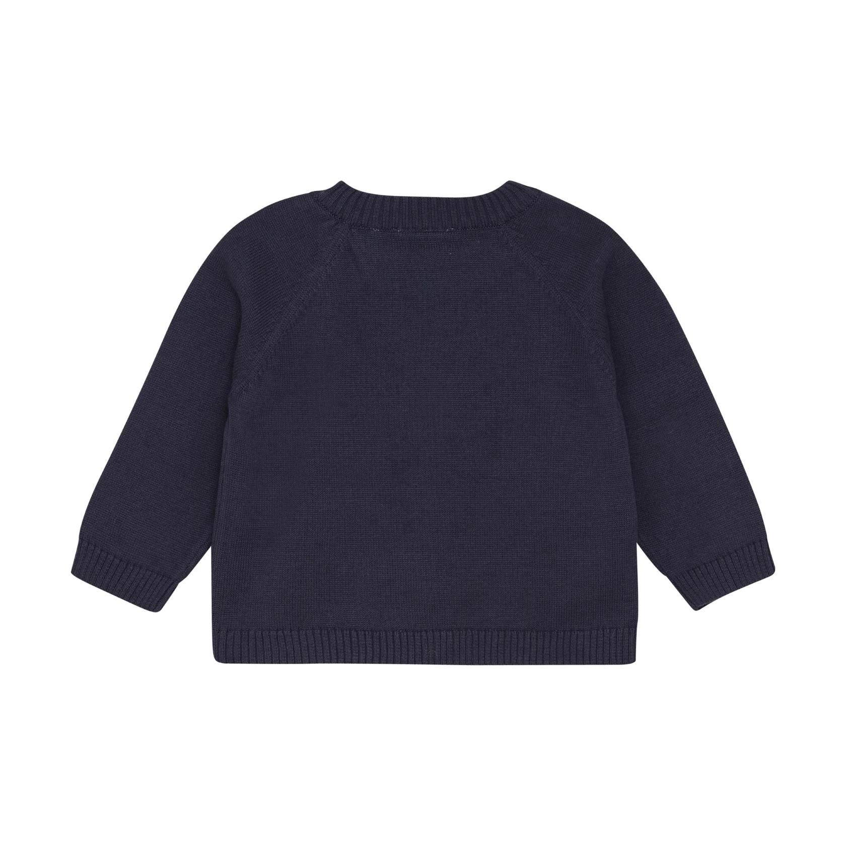 Dino Navy Sweater