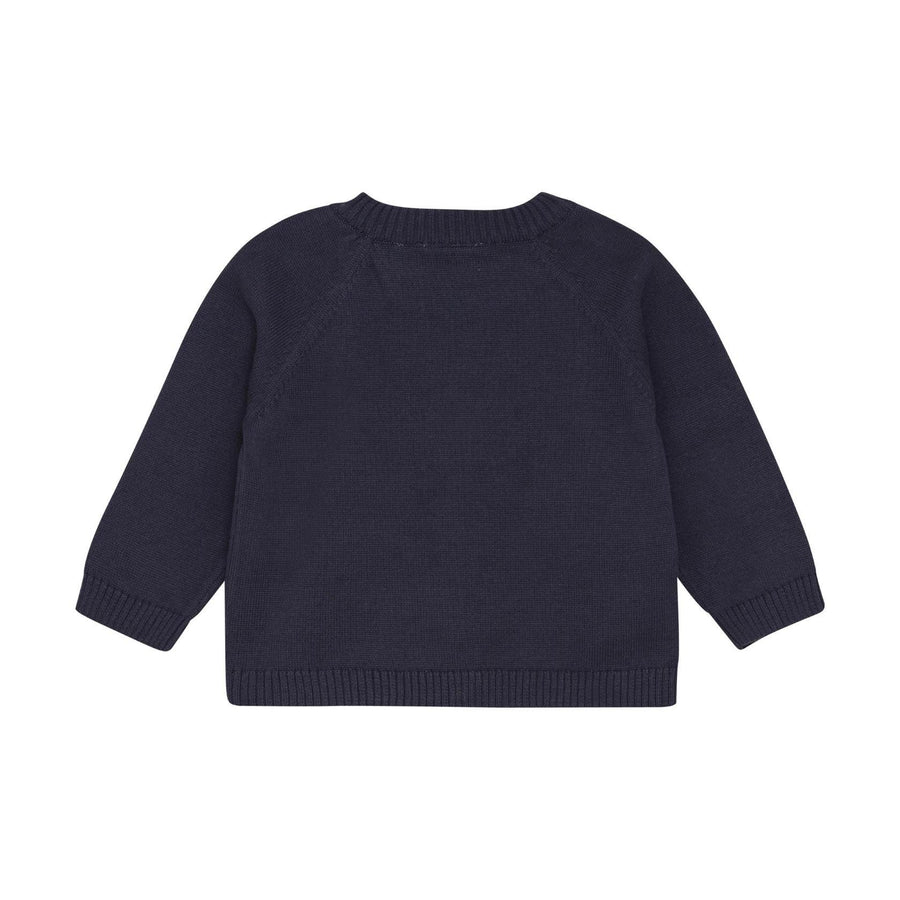 Dino Navy Sweater