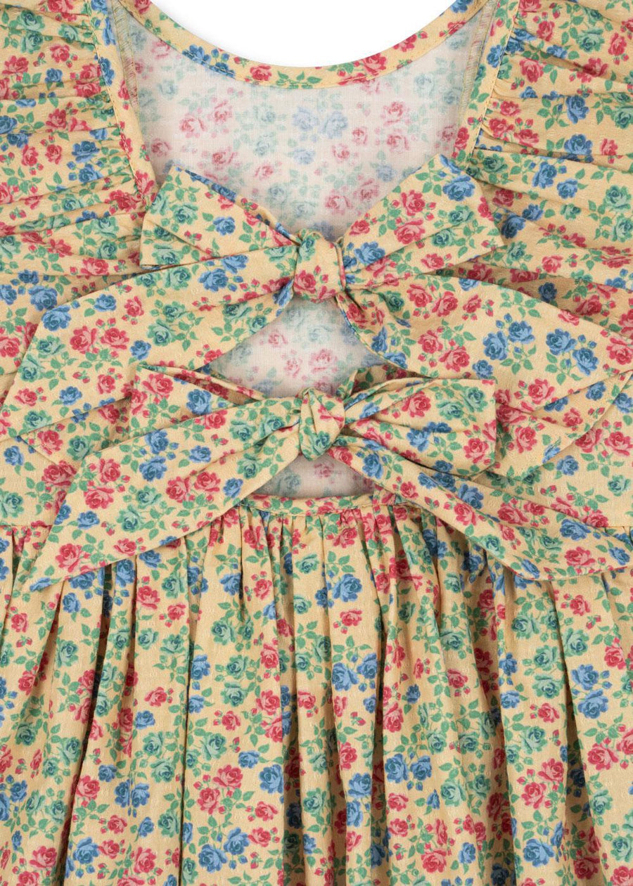 Cianna Dress Fandango