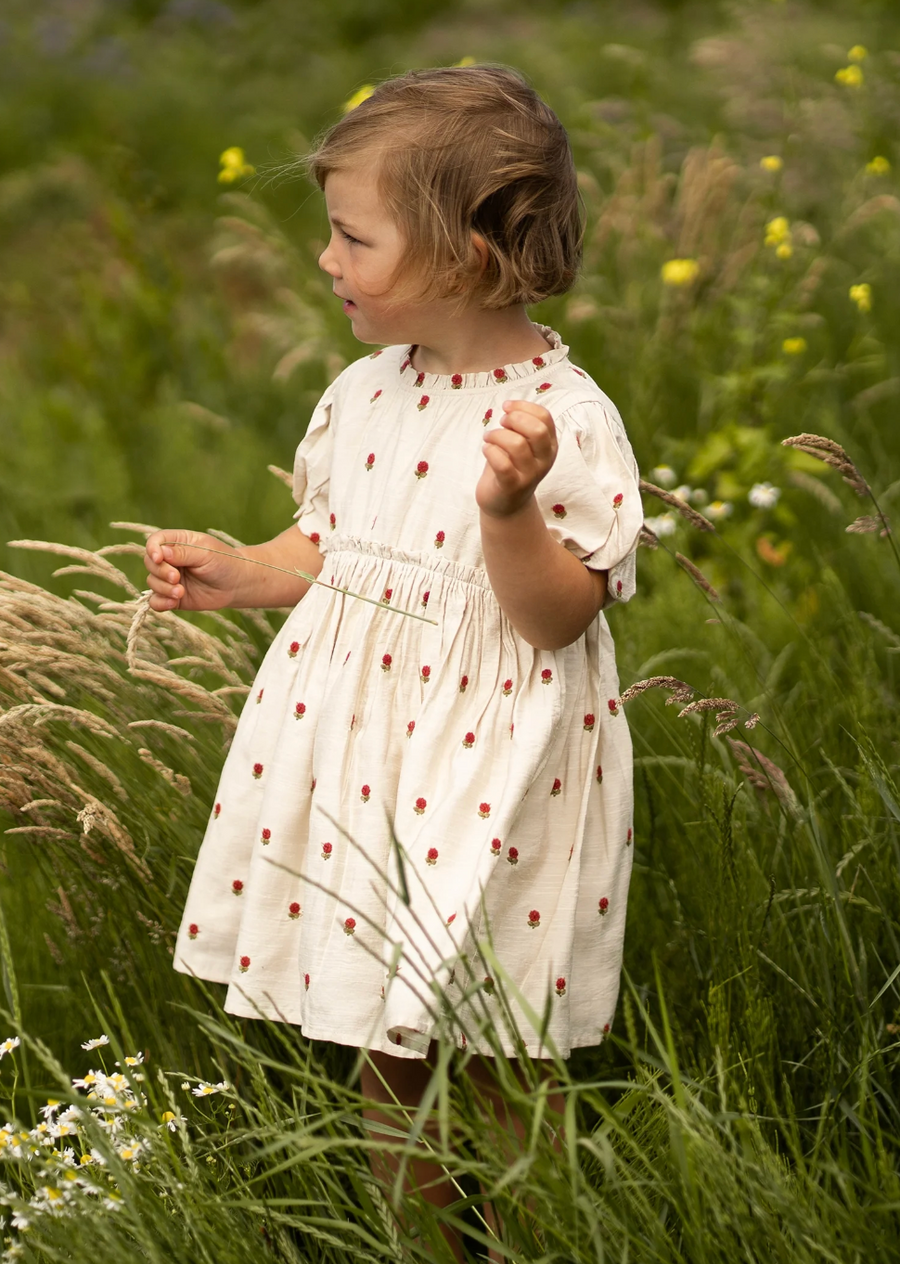 Camilla Dress - Red Roses