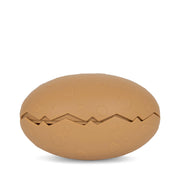 Bath Toy Dino Egg