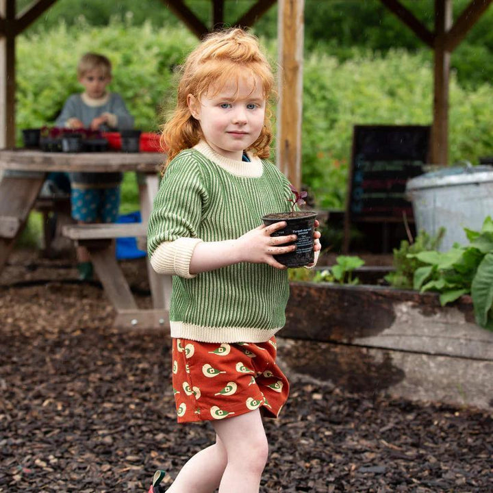 Spring by the Sea Shorts