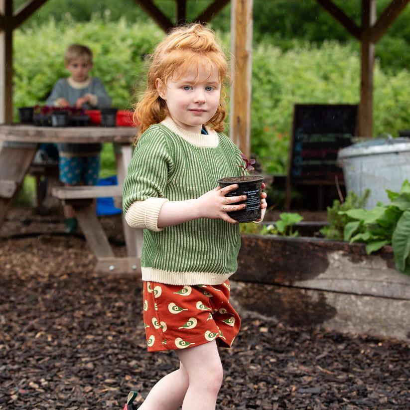 Spring by the Sea Shorts