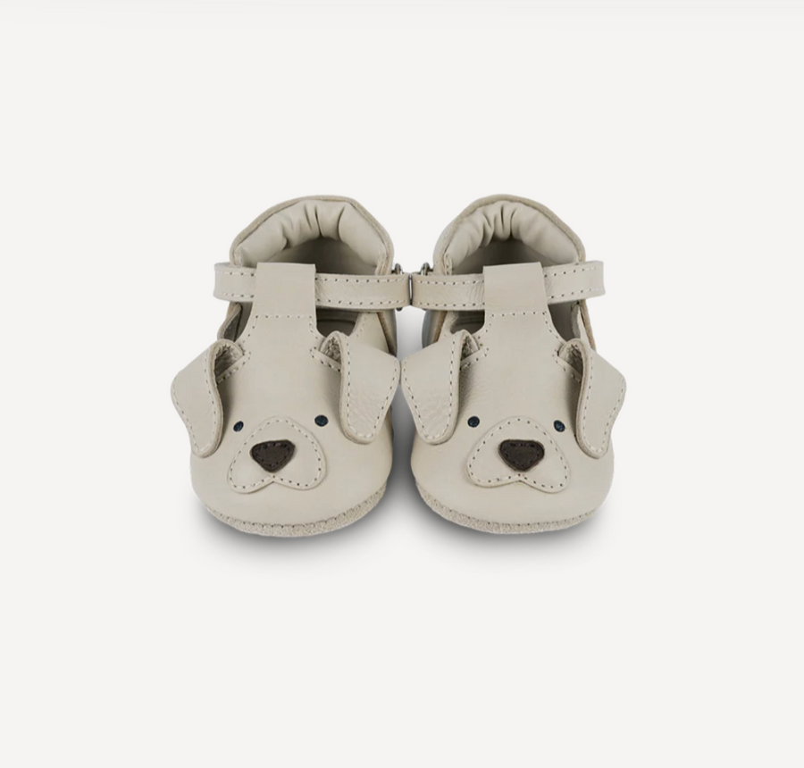 Spark Shoes - Golden Retriever