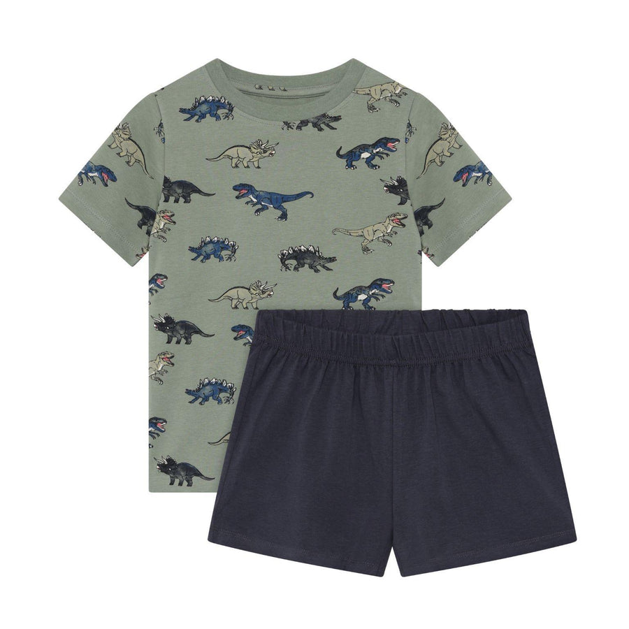 Dinosaur Print T-Shirt & Shorts Set