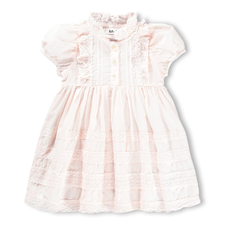 Carnation - Cloud Pink