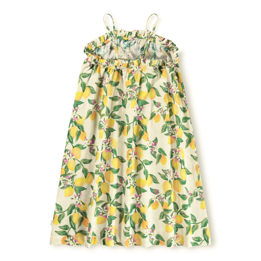Connie Dress - Citrus
